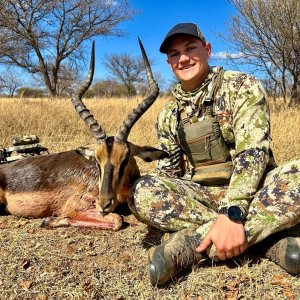 Impala Bow Hunt South Africa