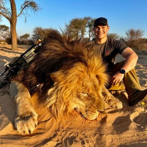 Lion Bow Hunt South Africa