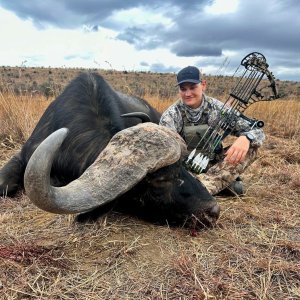 Buffalo Bow Hunt South Africa