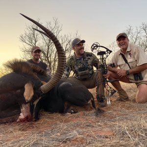 Sable Bow Hunt South Africa