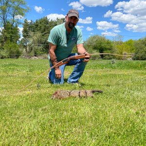 Woodchuck Bow Hunt