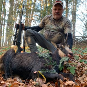 Carpathian Chamois Hunt Romania