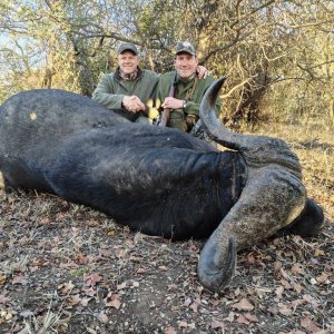 Buffalo Hunt South Africa