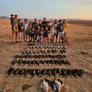 Wild Waterfowl shooting South Africa