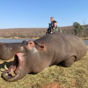 Hippo Hunt South Africa