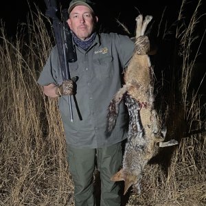 Jackal Hunt South Africa