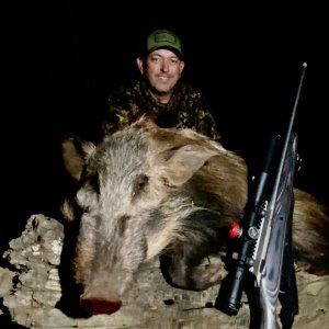 Bushpig Hunt South Africa