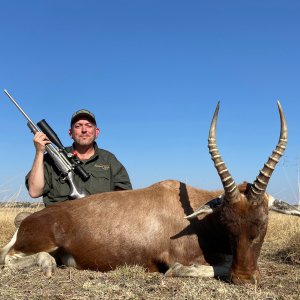 Blesbok Hunt South Africa