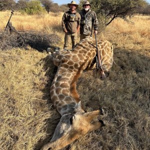 Giraffe Hunt South Africa