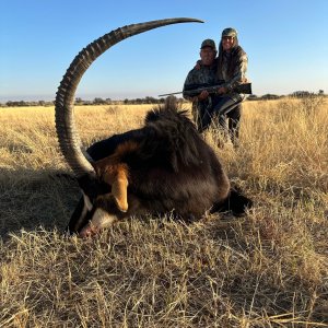 Sable Hunt South Africa