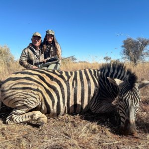 Zebra Hunt South Africa