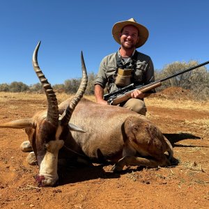 Blesbok Hunt South Africa