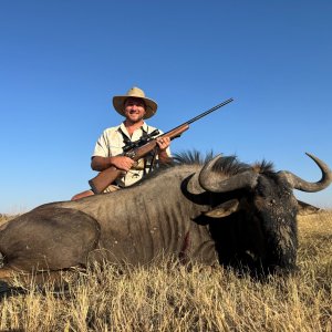 Blue Wildebeest Hunt South Africa