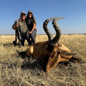 Red Hartebeest Hunt South Africa