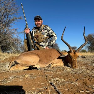 Impala Hunt South Africa