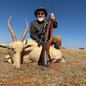 White Blesbok Hunt South Africa