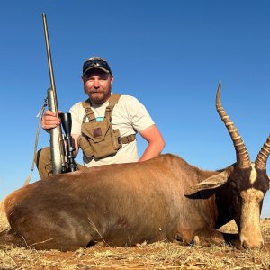 Blesbok Hunt South Africa