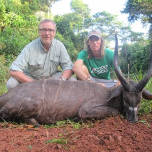 Forest Sitatunga Hunt Cameroon