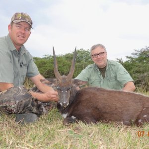 Cape Bushbuck Hunt Eastern Cape