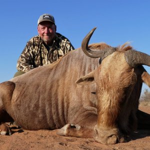 Golden Wildebeest Hunt South Africa