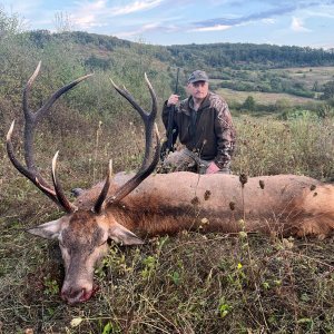 Red Stag Hunt Romania