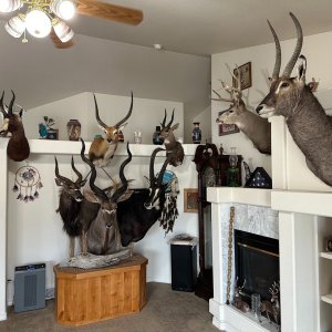 Trophy Room