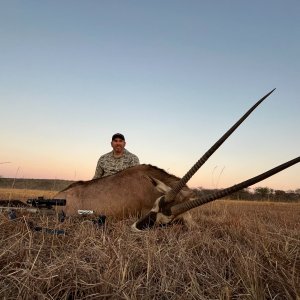 Gemsbok Hunt South Africa