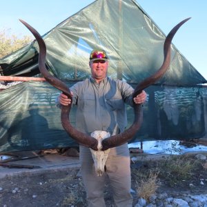 Kudu Hunt Botswana