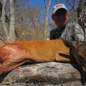 Red Duiker Hunt Mozambique