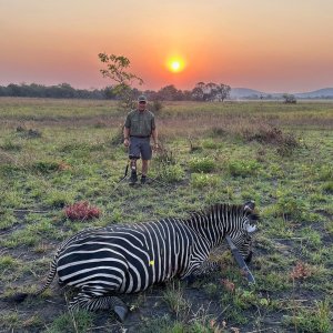 Zebra Hunt Tanzania