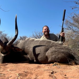 Nyala Hunt South Africa