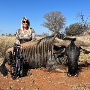 Blue Wildebeest Crossbow Hunt South Africa