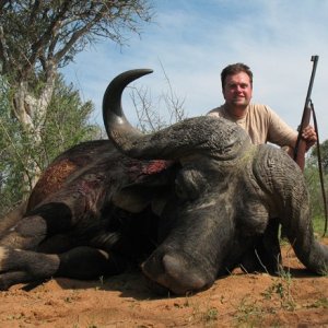 Cape Buffalo Hunt South Africa