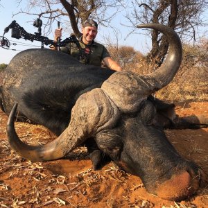 Cape Buffalo Bow Hunt South Africa