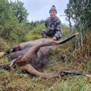 Nyala Hunt South Africa