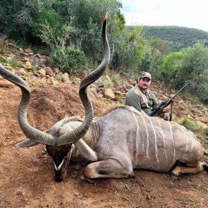 Kudu Hunt Eastern Cape South Africa