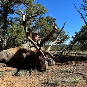 Elk Hunt Acoma Pueblo New Mexico