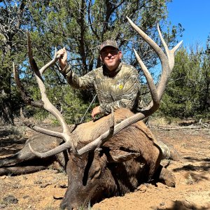 Elk Hunt Acoma Pueblo New Mexico