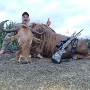 Golden Wildebeest Hunt Eastern Cape South Africa