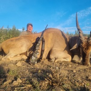 Eland Hunt Eastern Cape South Africa