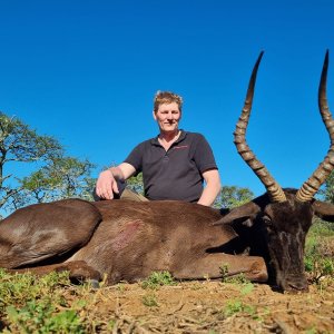 Black Impala Hunt Eastern Cape South Africa