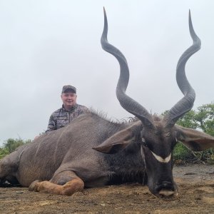 Kudu Hunt Eastern Cape South Africa