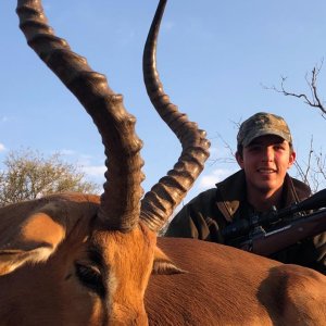 Impala Hunt, Limpopo