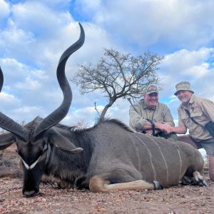 Kudu Hunt, Limpopo