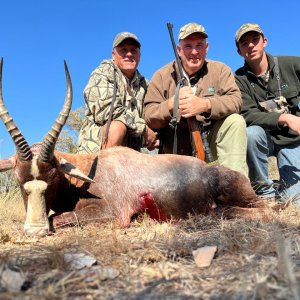 Blesbok Hunt, North West Province