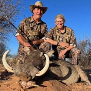 Warthog Hunt Kalahari South Africa