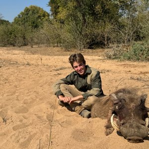 Warthog Hunt Save Conservancy Zimbabwe