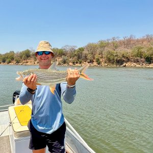 Fishing Tigerfish Zambezi River