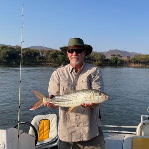 Fishing Tigerfish Zambezi River