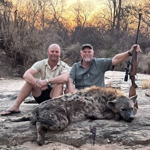 Spotted Hyena Hunt Zimbabwe